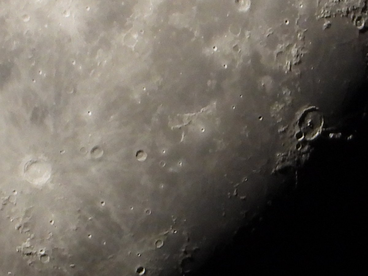 Educ8ed84's tweet photo. I recently bought a second hand Nikon P1000, some of my 1st pictures. Feedback welcome ☺️ https://t.co/Ag5zW1Yg1P