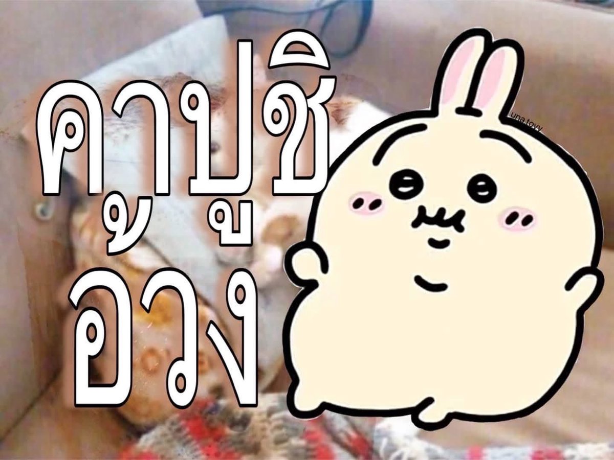 M0M0N64's tweet photo. พวกอ้อวม 

Una.toyy https://t.co/3Usackx8H4