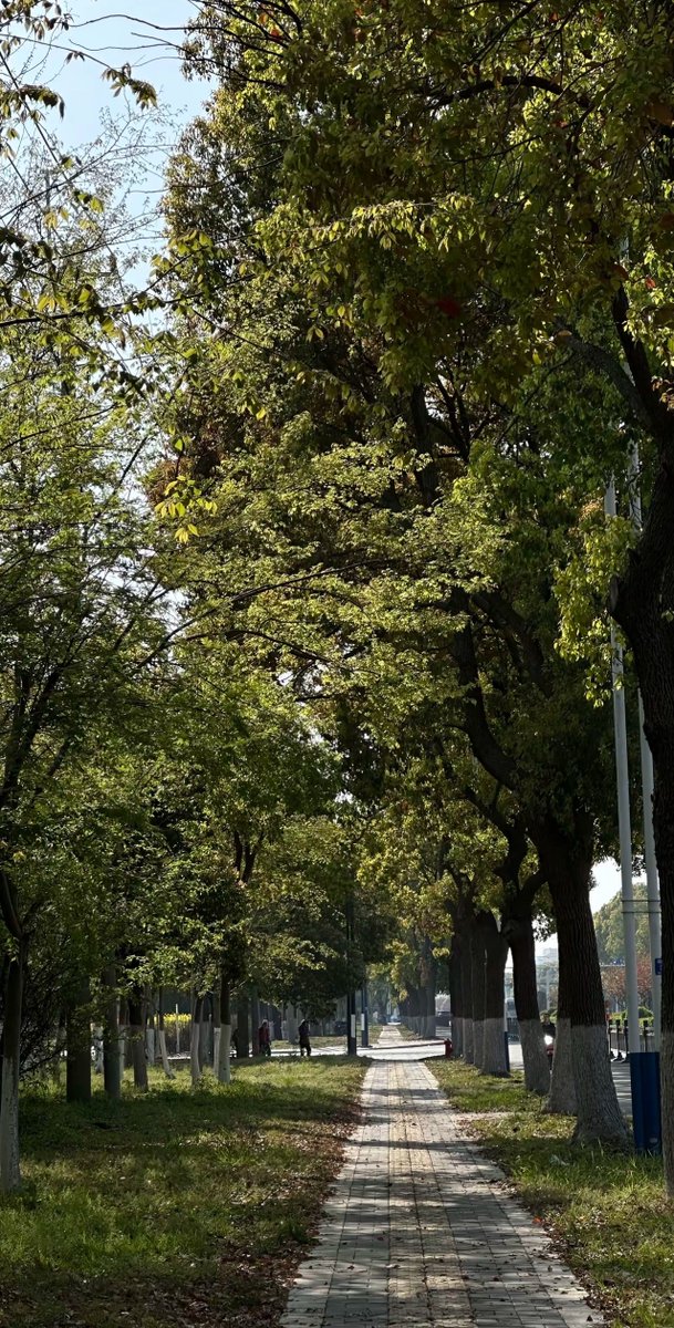 LasandraCapg7h's tweet photo. 何となく心が落ち着かないときってありますよね...まあ、それも自分の性格の一部として受け入れるしかないんでしょうけどね。 https://t.co/ZsVRh5uV0d