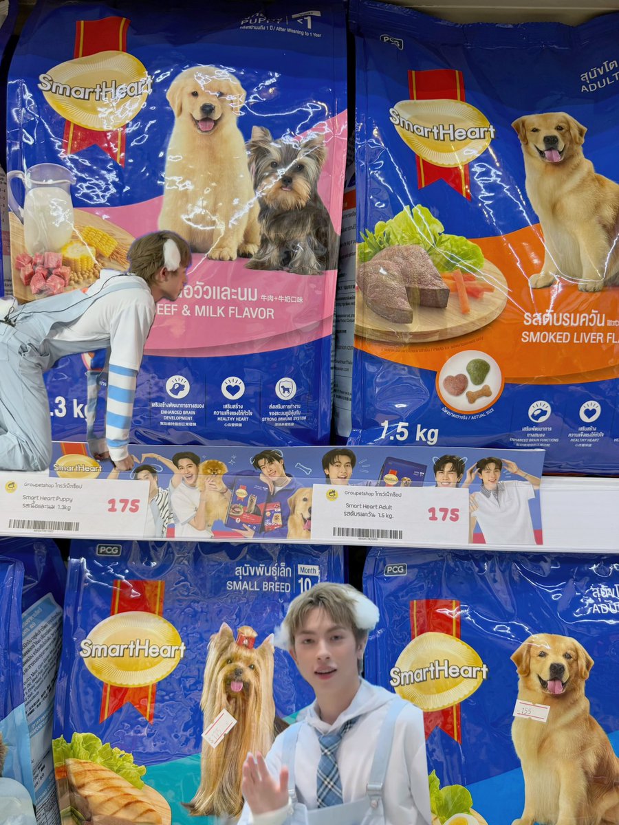 thejunniie's tweet photo. #รีวิวสมาร์ทฮาร์ทใกล้ฉัน ✨🐶💦 
📥📌 #โกรว์เพ็ทช็อป โกรว์ เพ็ท ช็อป สาขาลาดพร้าว 111

ที่นี่โดดเด่นทั้งการมีของครบ เลือกซื้อได้ง่าย มีหลายตัวเลือก แล้วบรรยากาศคือเดินเพลินแบบ “แวะซื้อแป๊บเดียว” แต่ได้ของกลับบ้านเต็มมือเลยค่า 😂 และยิ่งมี SmartHeart ให้เลือกด้วย ยิ่งรู้สึกว่าเป็นร้านที่เข้าใจทั้ง “มื้อโปรดของน้อง” และความสบายใจของคนเลี้ยง 🐶🐱💕

สรุป: น้องได้กินของอร่อย เราได้ช้อปของครบ = win-win แบบไม่ต้องคิดเยอะ 🧡💛💚🩷🩵💜