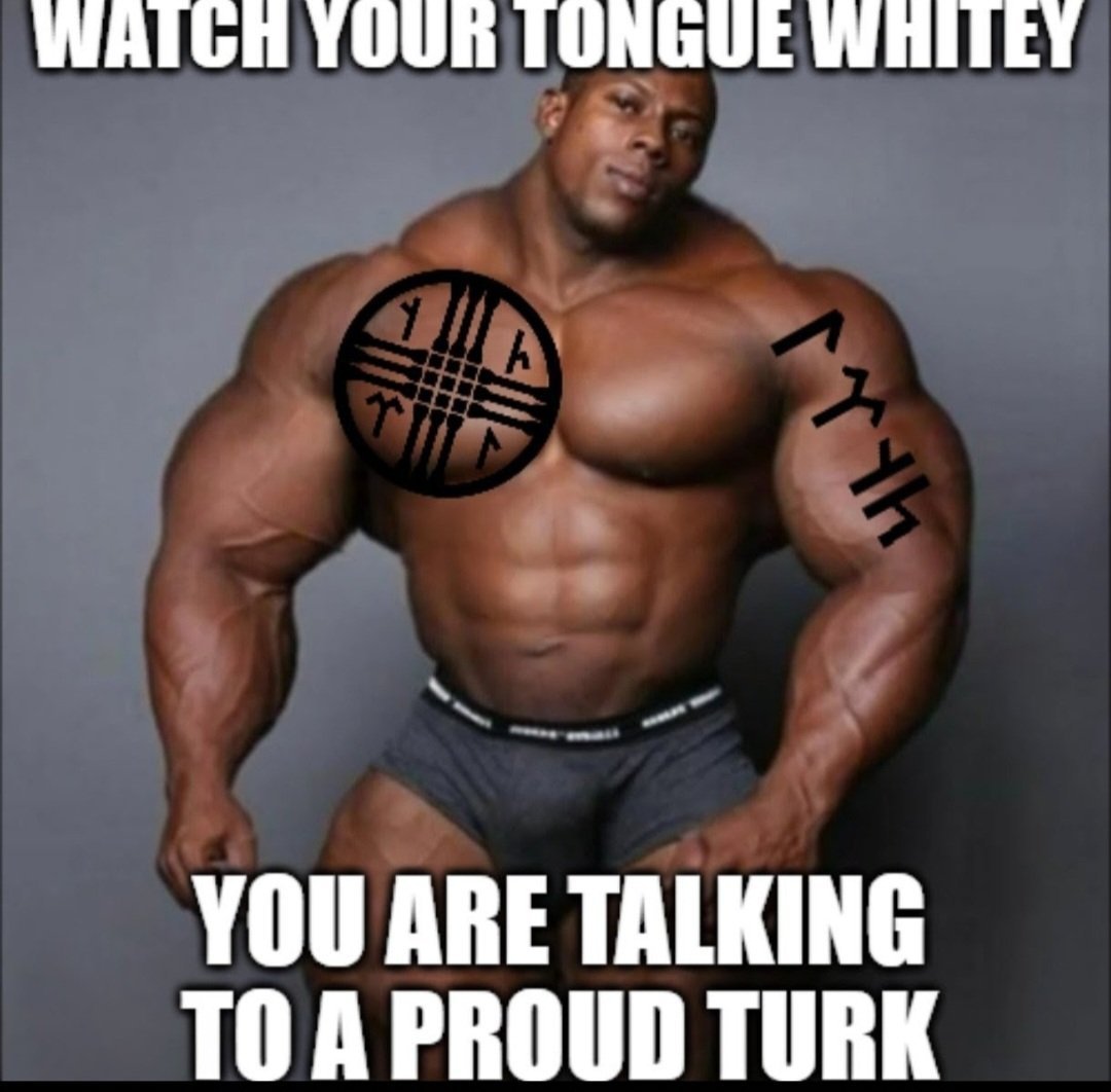 GGunes1995's tweet photo. @realillyrian668 You what do you mean we white. Turn Turkiye black, now https://t.co/bCZp47POXT