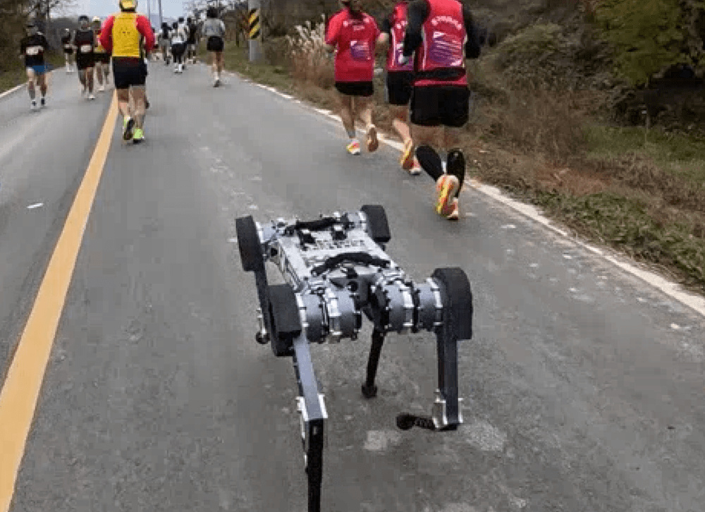 ResearchSEA's tweet photo. 🏃‍♂️🤖 A four-legged robot called RAIBO2 developed at @kaistpr  completed a marathon on a single battery charge.

Completing the event in 4 hours and 19 minutes alongside human runners, it has three times the travel range per charge of existing robots.

Read more: https://t.co/sSDu66PpJ5

The research by the team behind it was published in @Nature journal.

#robotics #technology #Korea #science #robots