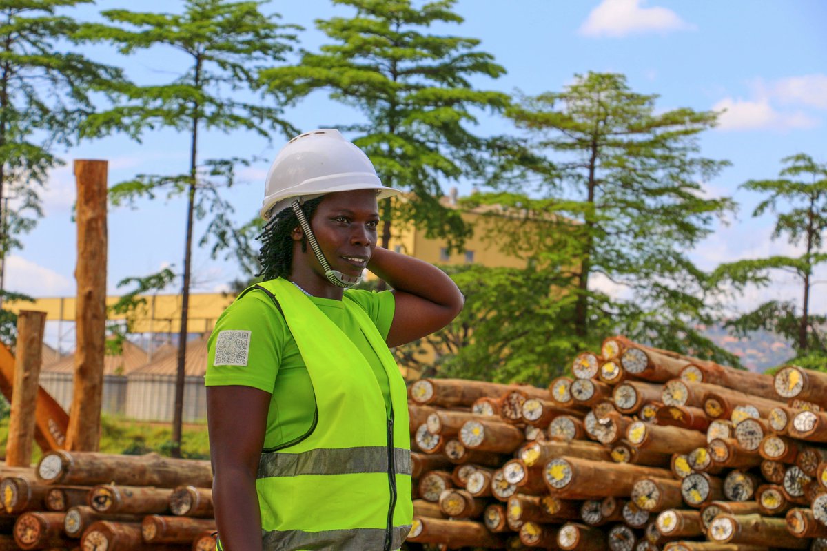 FAOUganda's tweet photo. From theory to practice🪖

Our forestry graduate trainees are getting their hands dirty - and are loving it. 

Under the @EUinUg funded Sustainable Wood Based Value Chains in Uganda project, 6 trainees – 4 of whom are women, are finalising a placement at Busoga Forestry Company. https://t.co/mGv0yOMiiJ