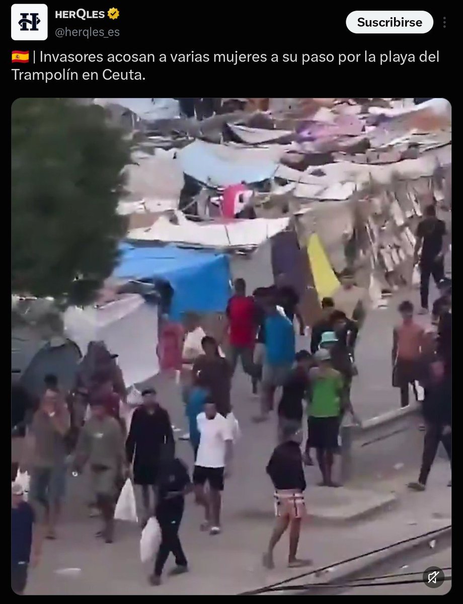 rrrainb00w's tweet photo. @Pizzasychuches @albicelesteilu @puchojung9 "Las películas que os contáis a vosotros mismos para sentiros mejor en la villa cuando en argentina no se puede ni salir a la calle de la inseguridad que hay" https://t.co/2ph2Q94ttt
