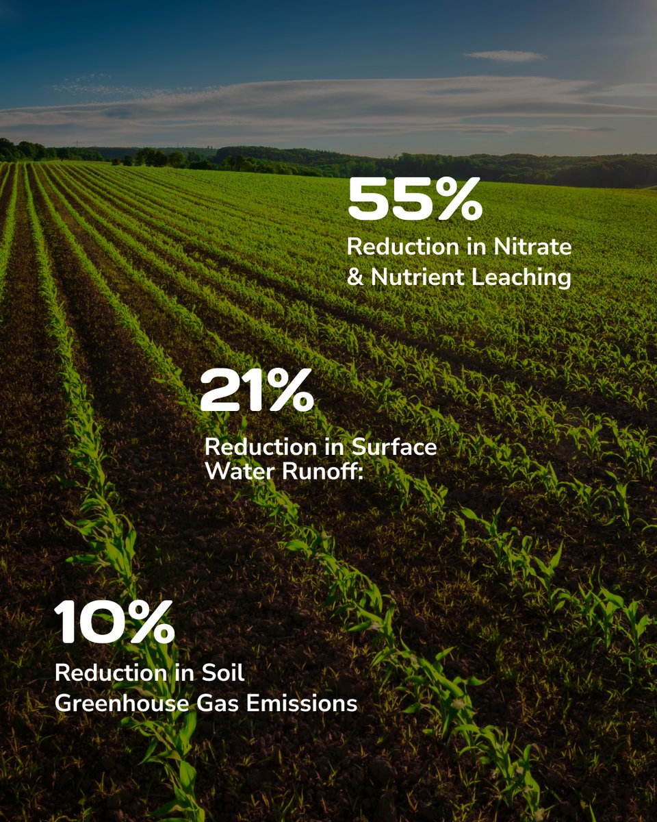 GroundworkBioAg's tweet photo. #RootellaBioPlatform
Arbuscular Mycorrhizal Fungi: Nature’s Partner for Water-Wise Growth
#SoilHealth #Rootella #RootellaBioPlatform https://t.co/FZ53z0A3d7