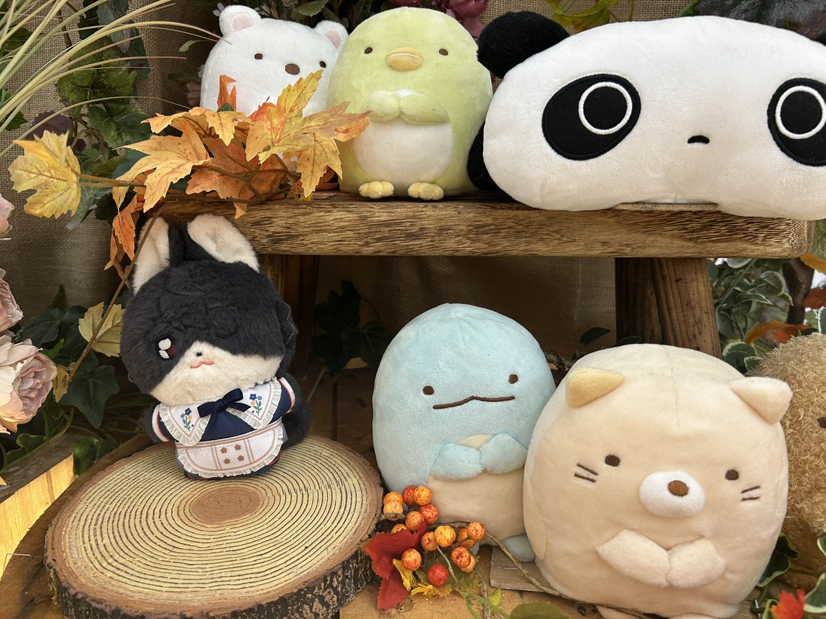keytail25's tweet photo. 🍁🍂
 #きつねぬいが見られるタグ https://t.co/oiYUI3nYMS