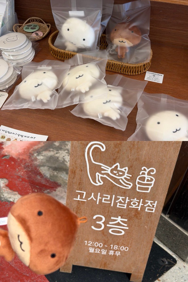 creamycrumbz's tweet photo. 공주사람으로서 참을수없었다 https://t.co/qtEBFErfuN