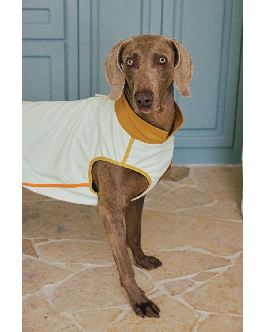 luckydudu_box's tweet photo. Keep bugs away from your dog outdoors. 7A antibacterial fabric repels mosquitoes. Quick‑dry, lightweight and breathable. Comfortable for hiking and daily outside activities.
#fyp #foryou #dogvest #petoutdoor #dogclothes
https://t.co/HyigmNkLpi https://t.co/gAjO6EANlw