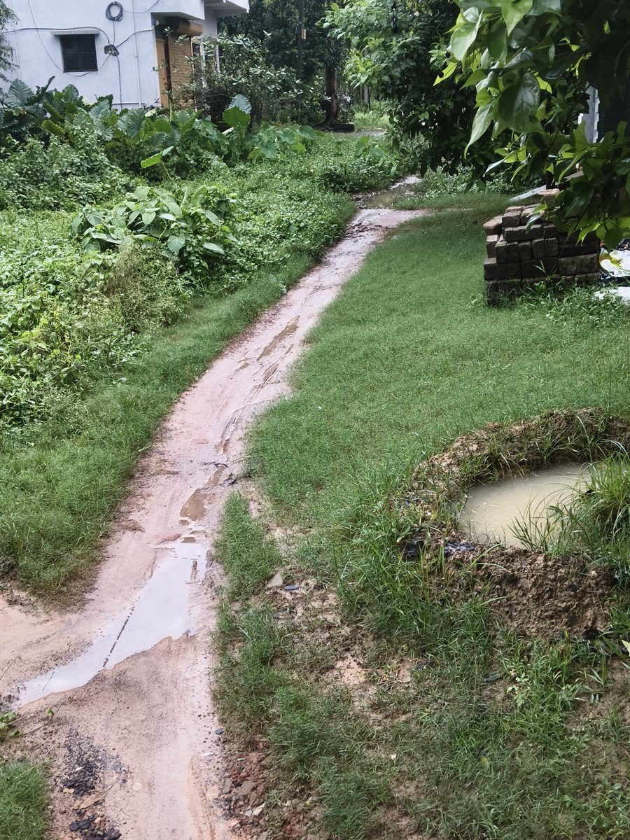Ronny87704885's tweet photo. @bjp_sau Ward no 1  near CRPF camp e ekta proper road nei .bar bar municipality k inform kora hoyeche..even apna k o phn e janano hoyeche...ae bristi te aro problem hocche...madam @paulagnimitra1 er helpline e complain kora ache ..kono positive action nei ..basic facilities er scarcity https://t.co/kQfTPpJfKO