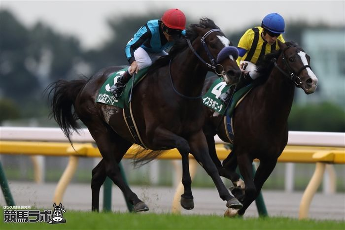 keibalab's tweet photo. 【今年は"ふ"】
土曜の中山5R・2歳新馬では、ヤングマンパワー産駒のブンブクチャガマが嶋田純次騎手を背にデビュー。

馬名意味は"分福茶釜(上毛かるたより)"。上毛かるた馬名でお馴染み・星野壽市オーナーの所有馬。父も母も星野オーナーの所有馬でした。
#ブンブクチャガマ
https://t.co/7vZscfMewq https://t.co/rB7TAbZz6o