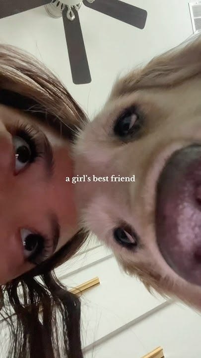 sylviahound3's tweet photo. My bestie🐾🥰
https://t.co/0vpJ41By0c https://t.co/aPytxIsBNP