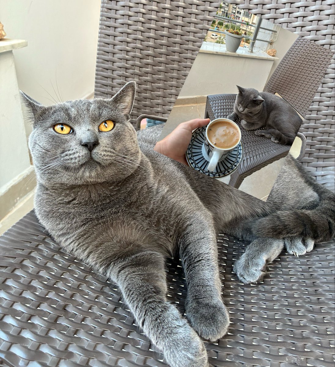 Zzzgeu's tweet photo. Ama sen benim insanlardan vazgeçişimsin 🫶 https://t.co/GDoHrBdMTI