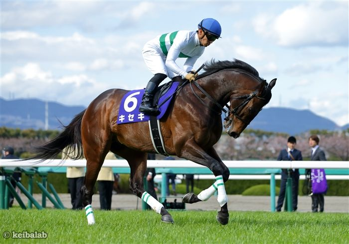 keibalab's tweet photo. 【祝・発売】
日曜中山5R・2歳新馬ではキセキ産駒のキセキテキニキテルが石田拓郎騎手を背にデビュー。馬主はダビスタシリーズでお馴染み薗部博之氏。

馬名意味は"奇跡的に来てる"。Nintendo Switch2のダービースタリオン2発売週のデビューになります。
#キセキテキニキテル
https://t.co/4Ktee2RMFP https://t.co/Vaopvk49hJ