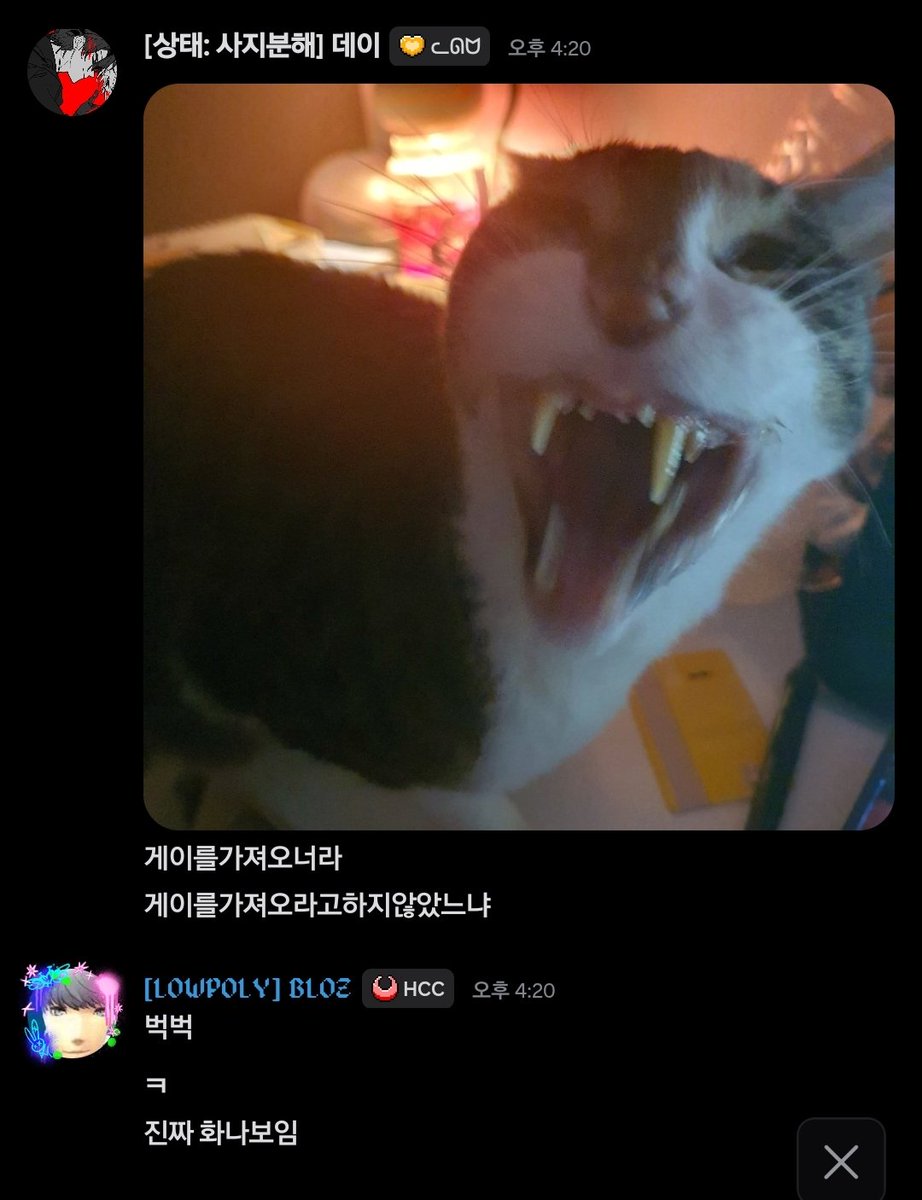 NOTDAI0's tweet photo. https://t.co/4soerDYeWz