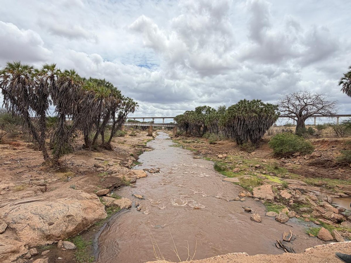 TardaKE's tweet photo. 3: The work is bigger than mapping a river. It is about generating the evidence needed to plan, protect and sustainably develop water resources across the Athi Basin—so that communities, livelihoods and nature can continue to benefit from the river.
#OurBasinsOurFuture #TARDAAt52 https://t.co/n72egqzMTC