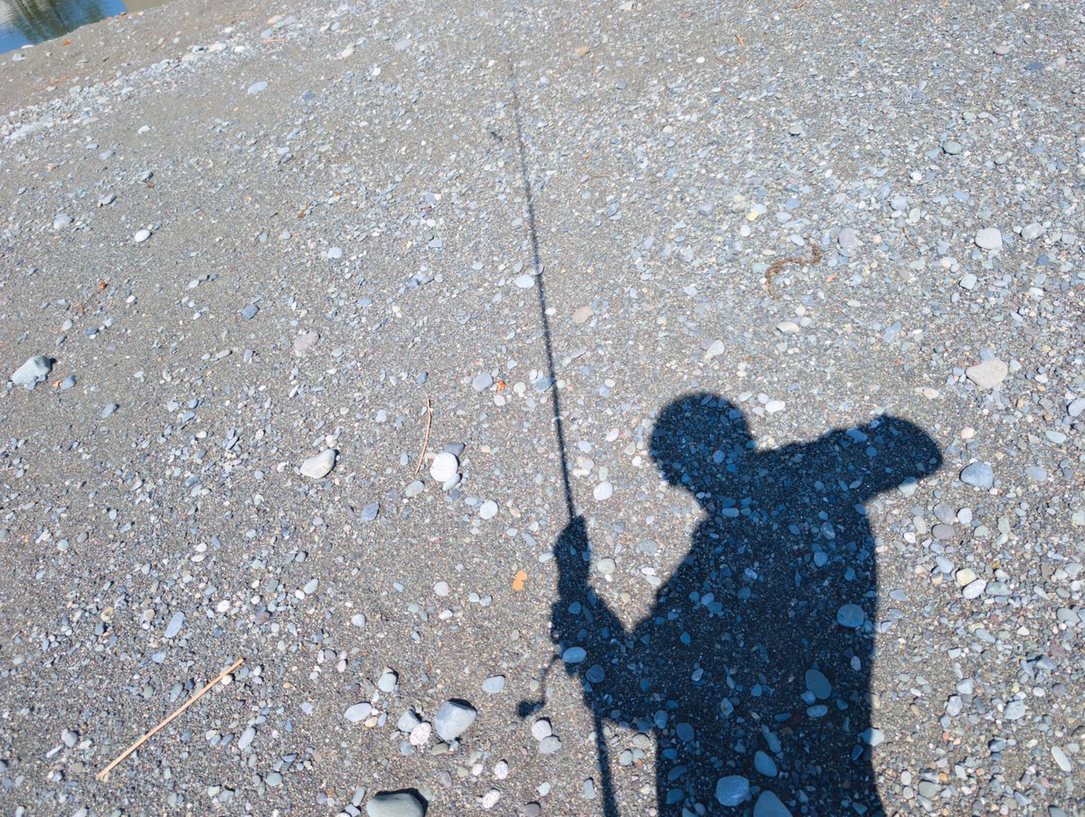 Tenta_Tender's tweet photo. 今日は…明るいうちに帰宅！！☀
なぜなら大仕事ができてしまったのである…🐟️🐟️🐟️

でも0時〜15時、よーやったほうよね🎣
まーじ今日暑かったな〜��帰ってきたん？😇 https://t.co/tzDSo9aFGA