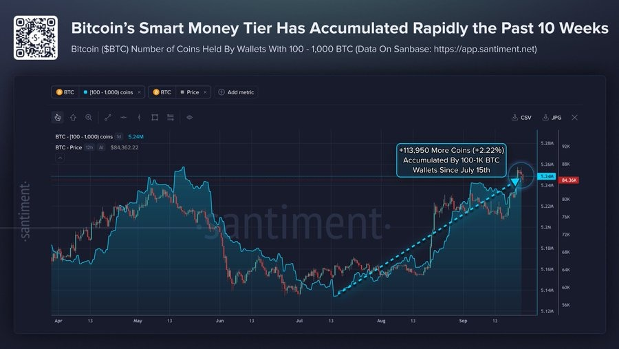 ifivelabs's tweet photo. $BTC wallets holding 100 to 1,000 BTC have accumulated 113,950 BTC since mid-July.

Their combined holdings now stand at around 5.24M BTC. https://t.co/gCPWSK6tN5