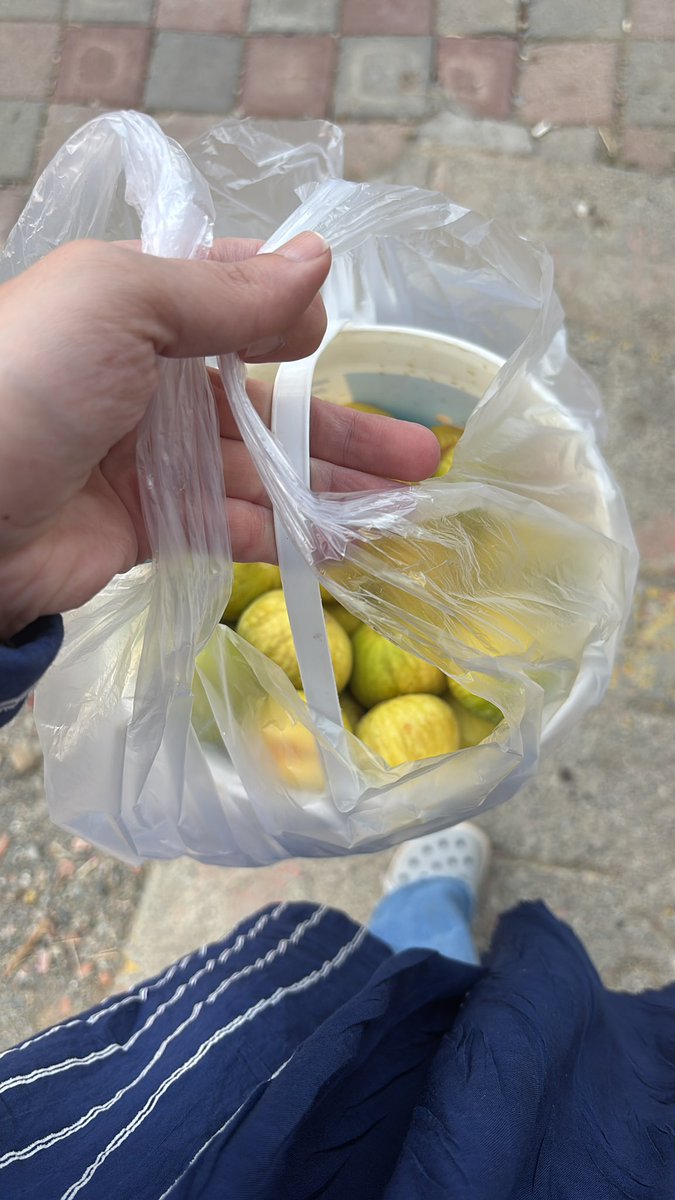 IldBuse's tweet photo. O kadar yol geliyorsun bizim için elin boş gidemezsin diyorlar, düşünceli hastalarım🥹🤍🌸 https://t.co/j5hGV0fYh2