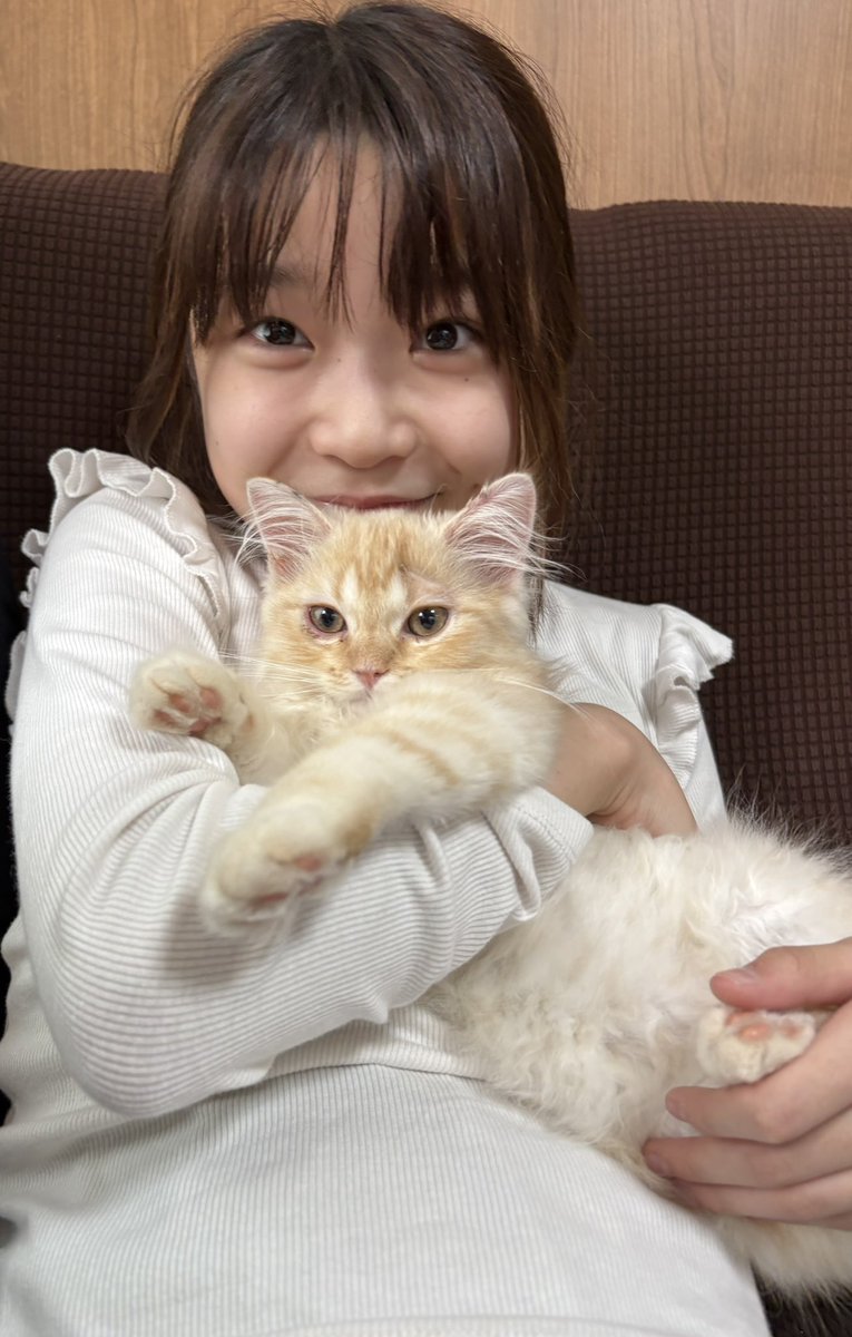 miori_2014's tweet photo. 先行20時から 通常予約22時から予約開始です✨
Stamaga★Fille撮影会では最後かな？
ぜひ会いにきてねー🩷
11歳のみおりに会える最後の機会なはず🤭
#スタマガ #スタマガ撮影会 #みおり https://t.co/OIyAlo63Au