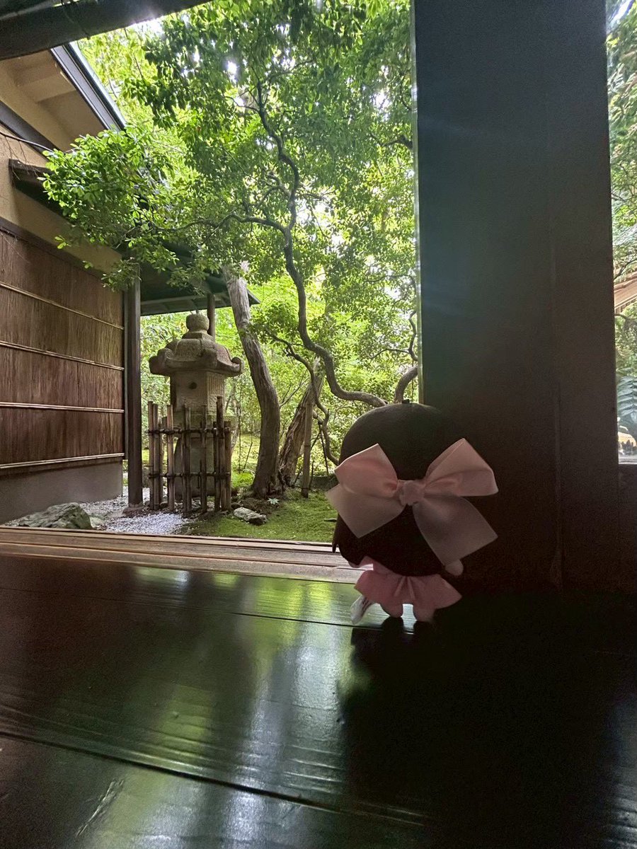 hotcakeumai's tweet photo. 友達のいこラぶちゃんのぬいの後ろ姿がさよちゃんで可愛かった https://t.co/N9X62ksWMh