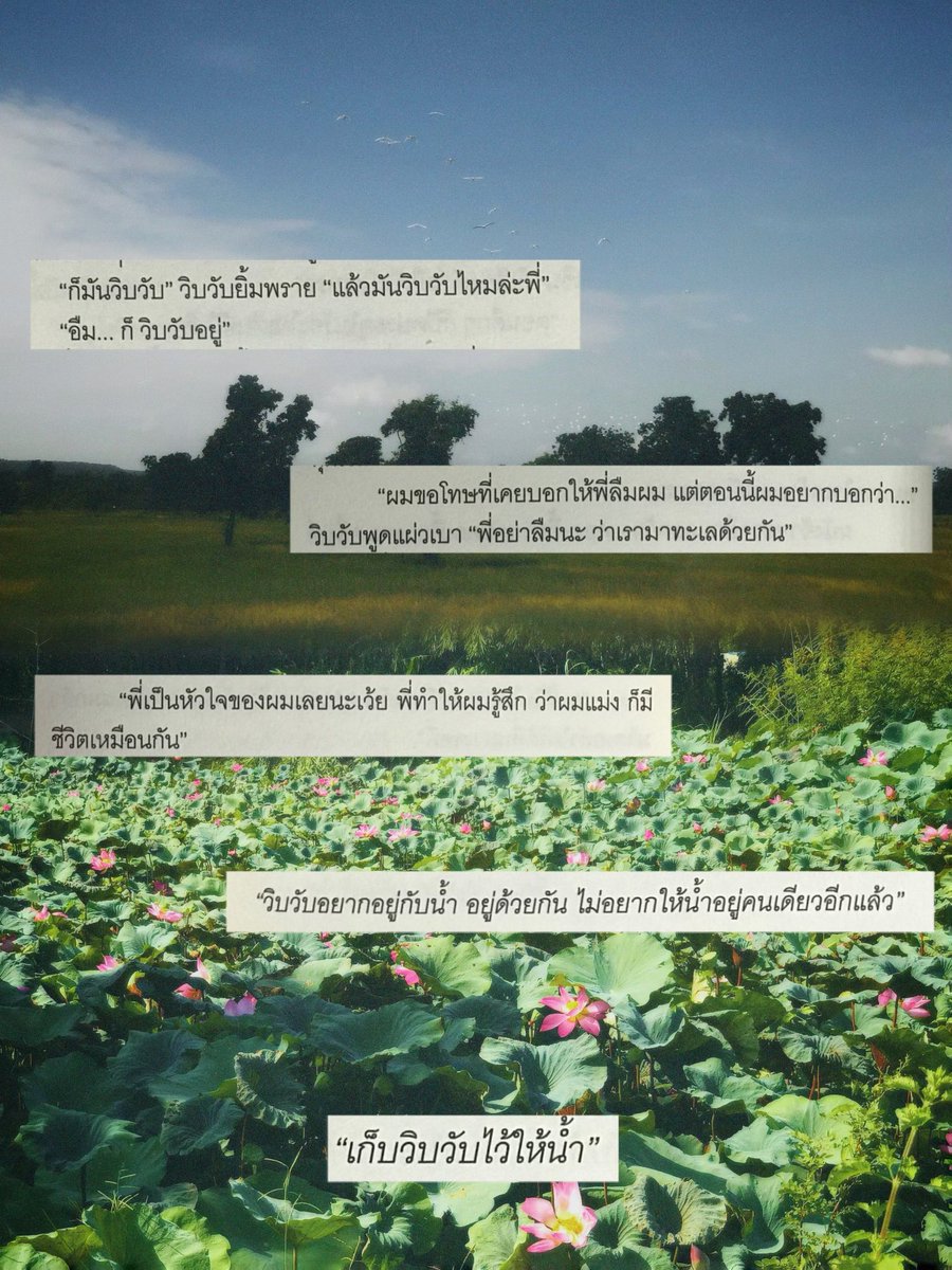 shawtyyaaa's tweet photo. ♫สุดที่รัก - Retrospect

🪷⭐️✨

#เดนดาวneverdie https://t.co/g6VZYKdGtn