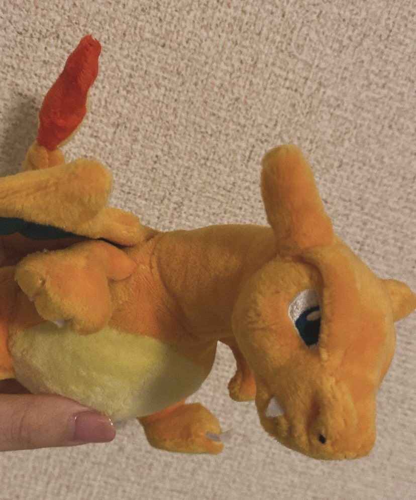cake_pkmn's tweet photo. 急に🔥タイプトレーナーになった日🤣🤣 https://t.co/0iqF3dbhSg
