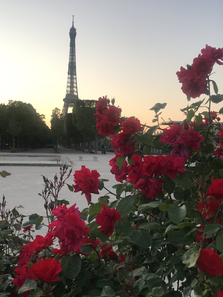 YvesPDB's tweet photo. La Tour Eiffel ! Paris ! https://t.co/sWPlsTeKRb