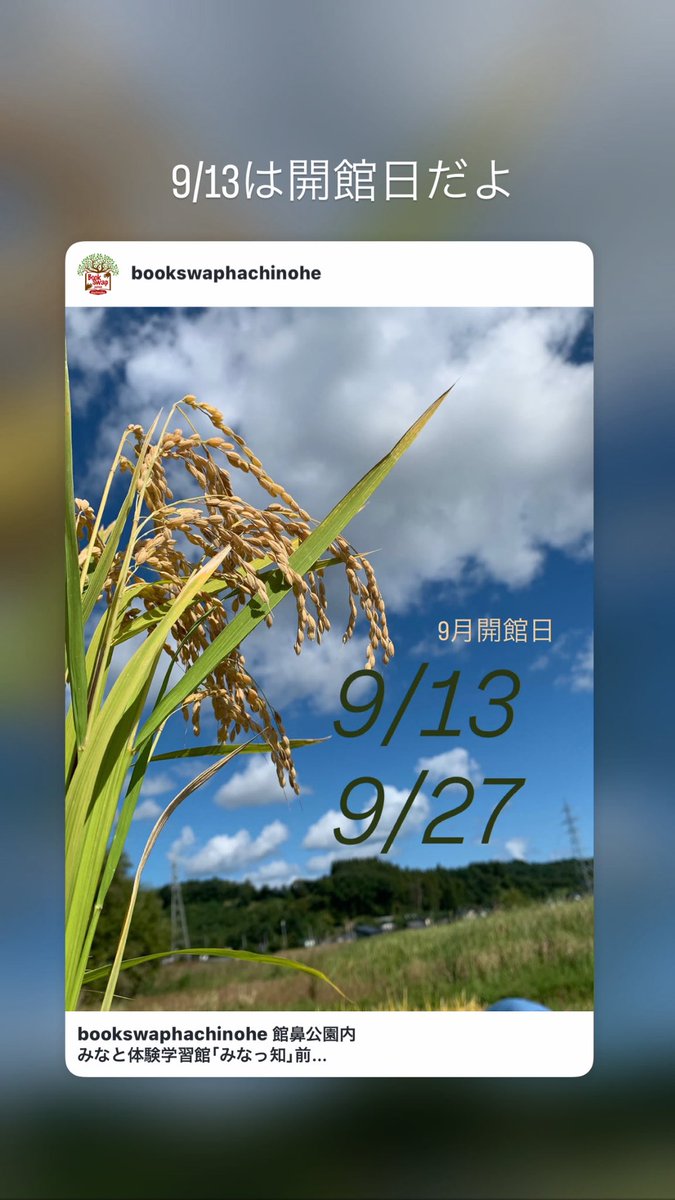 BookSwap8he's tweet photo. 9/13はみなとの図書館の日です！

読書の秋到来🍂📚☕️
館鼻公園に集まれー♪

#本のまち八戸
#子育て
#無料 https://t.co/QhNzB4yn52