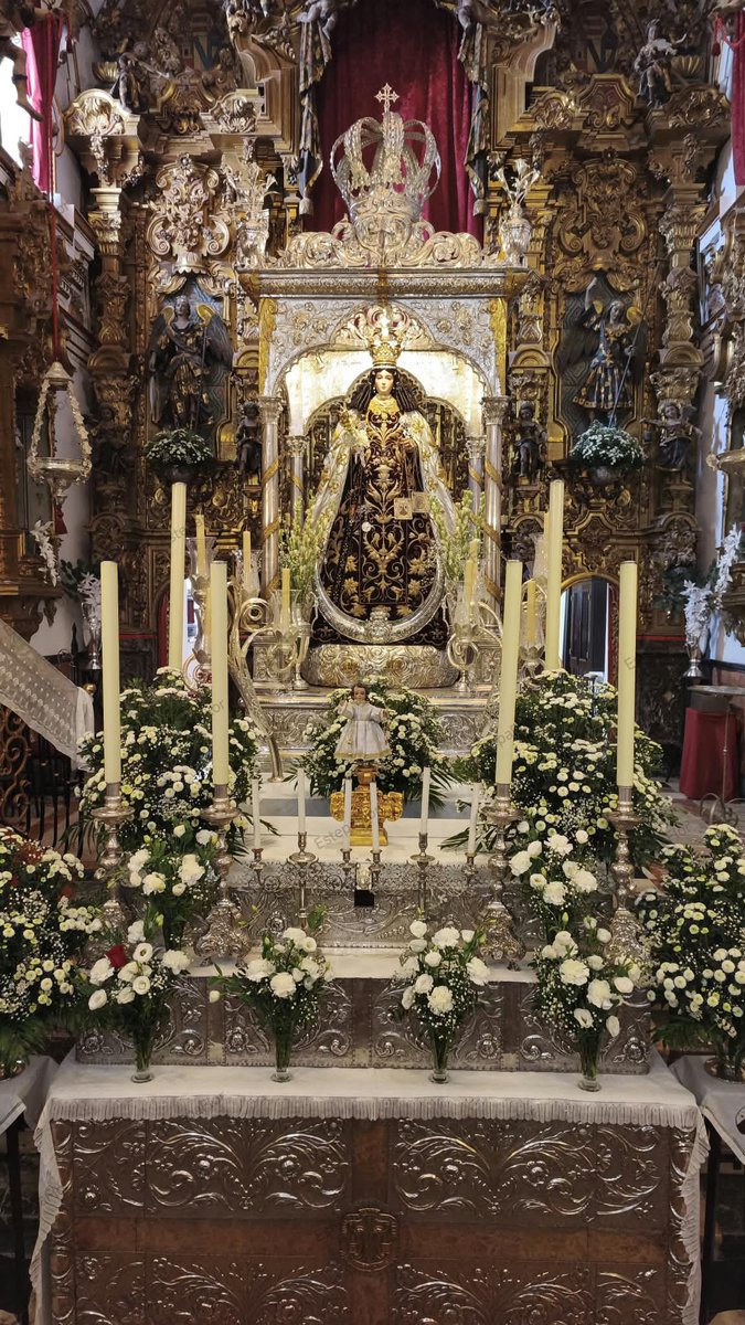 Estepanoticias's tweet photo. 𝟭𝟮 𝘿𝙀 𝙎𝙀𝙋𝙏𝙄𝙀𝙈𝘽𝙍𝙀 

𝙊𝙉𝙊𝙈𝘼́𝙎𝙏𝙄𝘾𝘼 𝘿𝙀𝙇 𝘿𝙐𝙇𝘾𝙀 𝙉𝙊𝙈𝘽𝙍𝙀 𝘿𝙀 𝙈𝘼𝙍𝙄́𝘼 

Como es tradición, en la festividad del Dulce Nombre de María, Nuestra Señora del Carmen recorrerá las calles de Estepa.

🕗 Salida: 8:00 h
⛪️Iglesia de Ntra Sra del Carmen https://t.co/EvPbHroPZ0