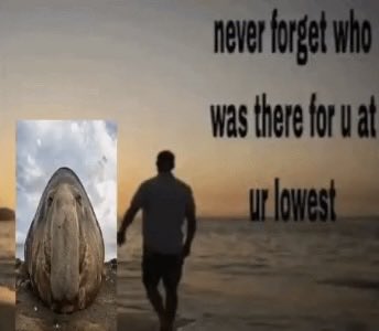 deestortus's tweet photo. https://t.co/lFV0dRRFXx