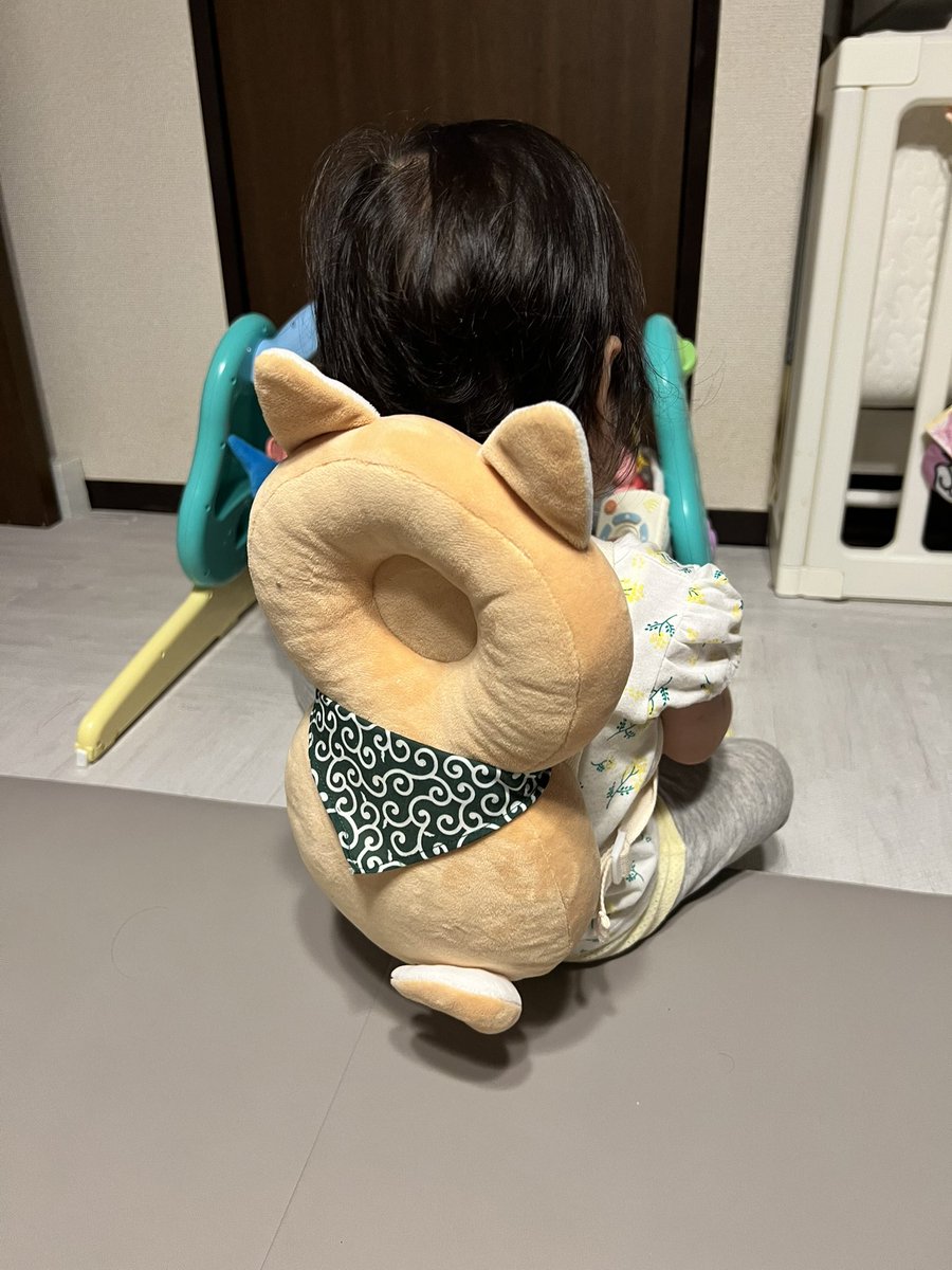 morikiyo_y's tweet photo. 自分から持ってきたから、着けてあげたら気に入ったみたい🐕外したら怒られた🙄 https://t.co/OQ3HgwP4pn
