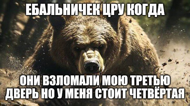 BRUHdm8's tweet photo. https://t.co/jNPVjieKv5