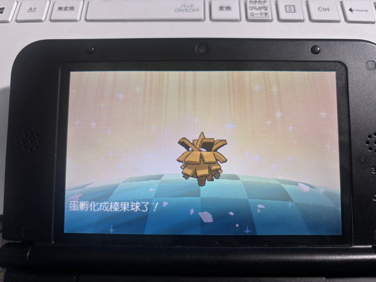 MasaPoke1243's tweet photo. 中国語S0ドリボ色クヌギダマ孵化。
その内チャンピオンズで使うかも。 https://t.co/eJVmUEFPhU