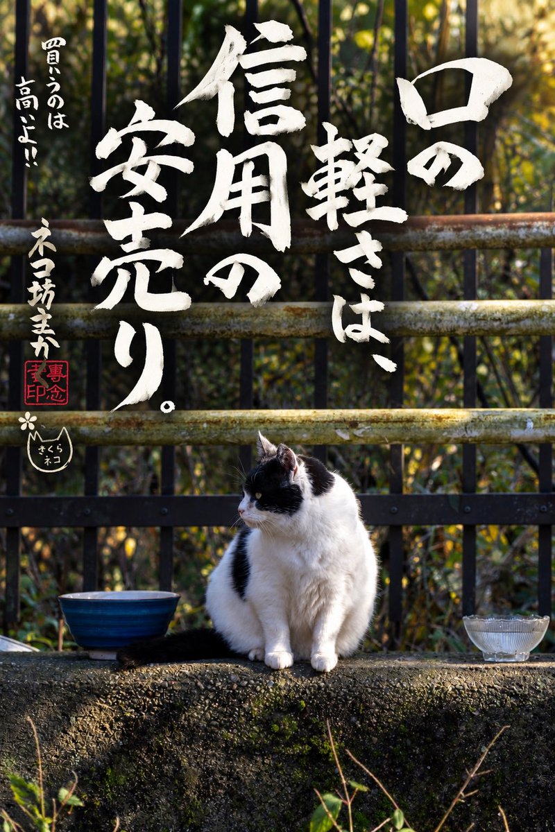 yabumoto610's tweet photo. ネコさんから人間さんへ今日の一言 https://t.co/5dQ980K83r