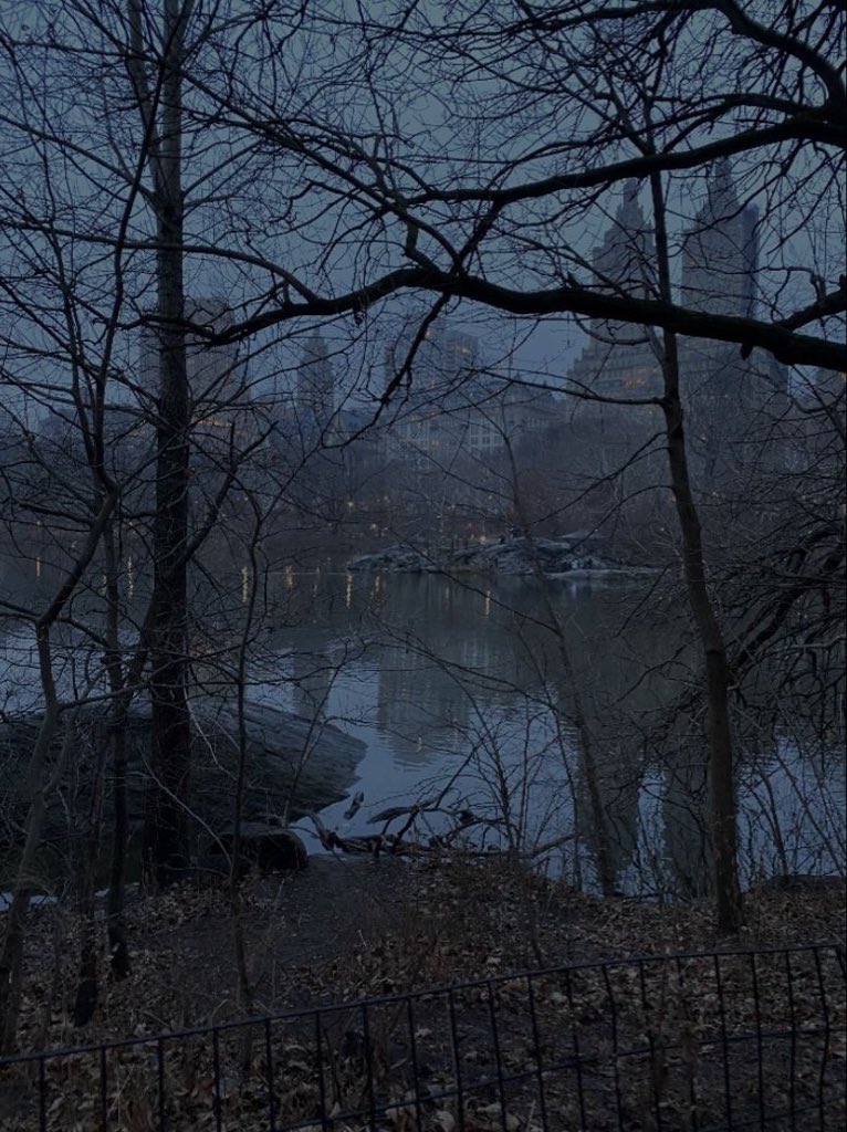 gloomyvisuaIs's tweet photo. gloomy walk. https://t.co/lNTgA1k0HX