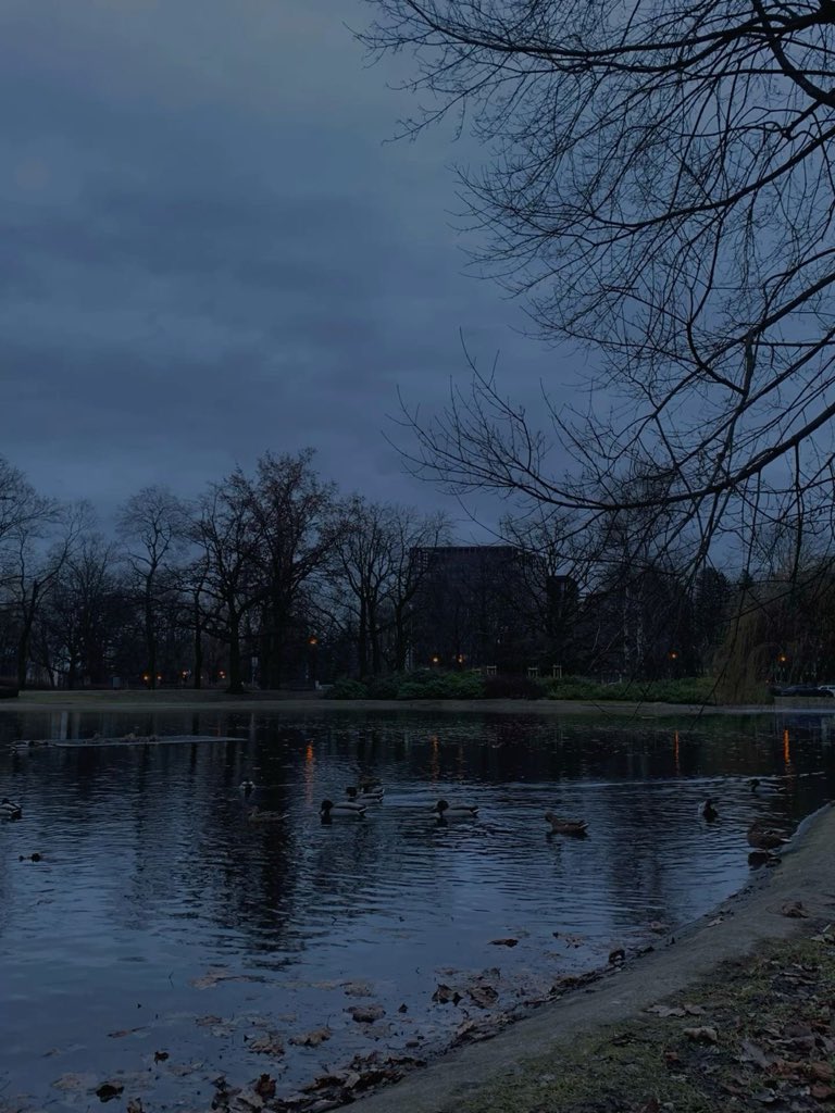 gloomyvisuaIs's tweet photo. gloomy walk. https://t.co/lNTgA1k0HX