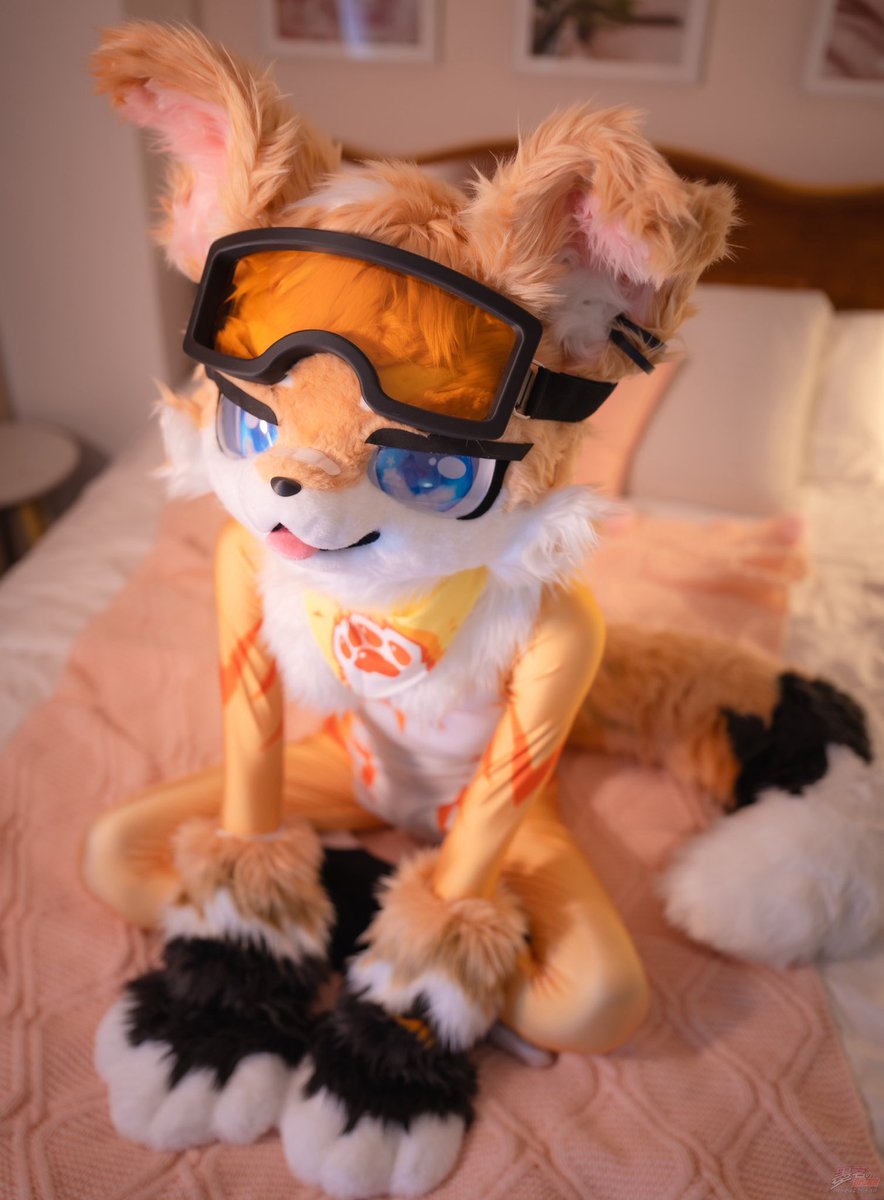 jydoggy's tweet photo. 狗狗的正面背面上面和下面！
#furry #兽太 #紧身衣 #Fursuit https://t.co/dEQNUFDwbP
