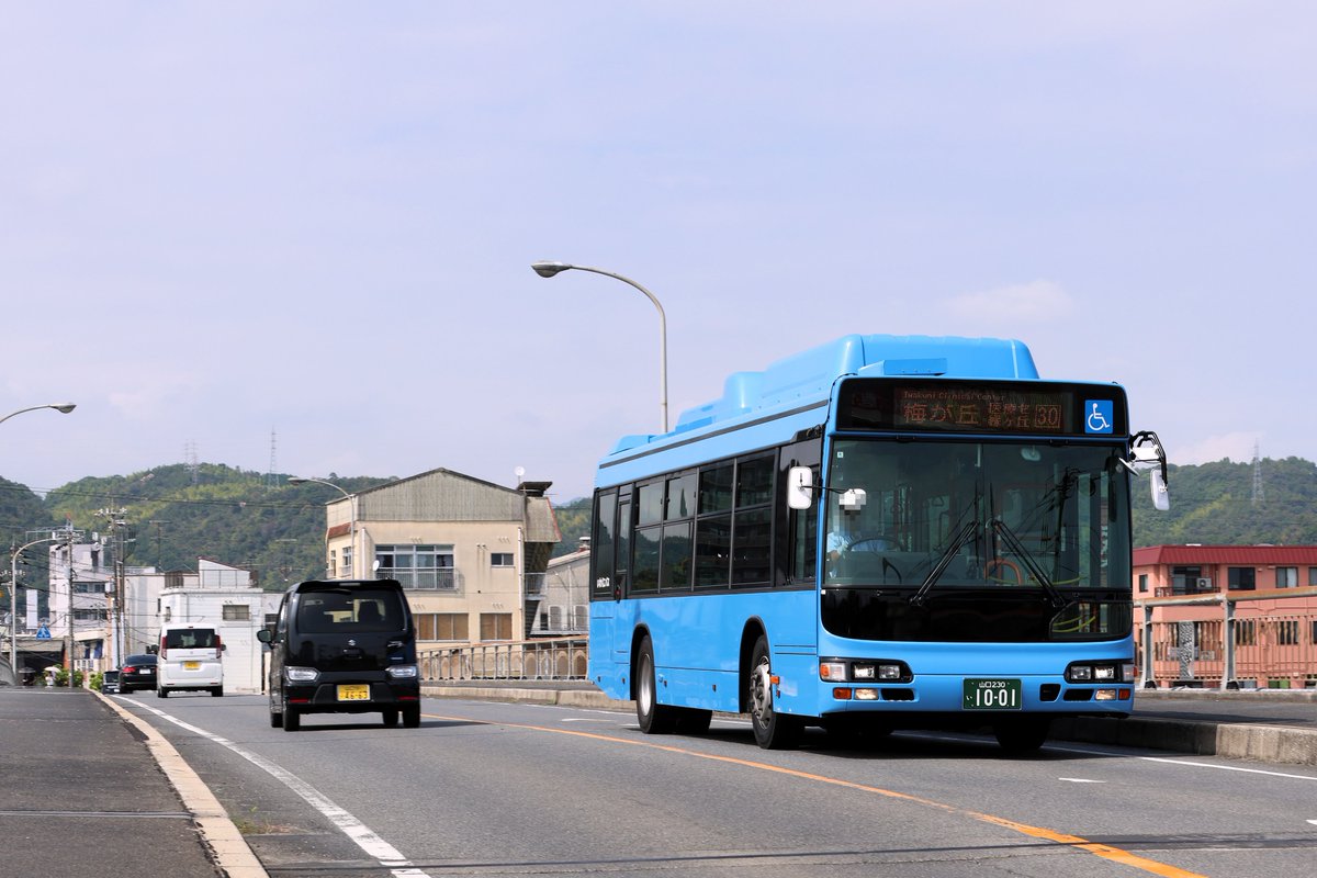 MeicloMickey's tweet photo. 9月12日(土) いわくにバス
1001 30系統 岩国駅→梅が丘→錦帯橋
元:都営バス Z-V295
今日はいわくにバスの元都営ブルハイを撮影！
LJG-HUがこの夏、1002と合わせて2台加わったことで、いわくにの都営ブルハイの全数は計5台となりました😮 https://t.co/3AmGg0X0nS