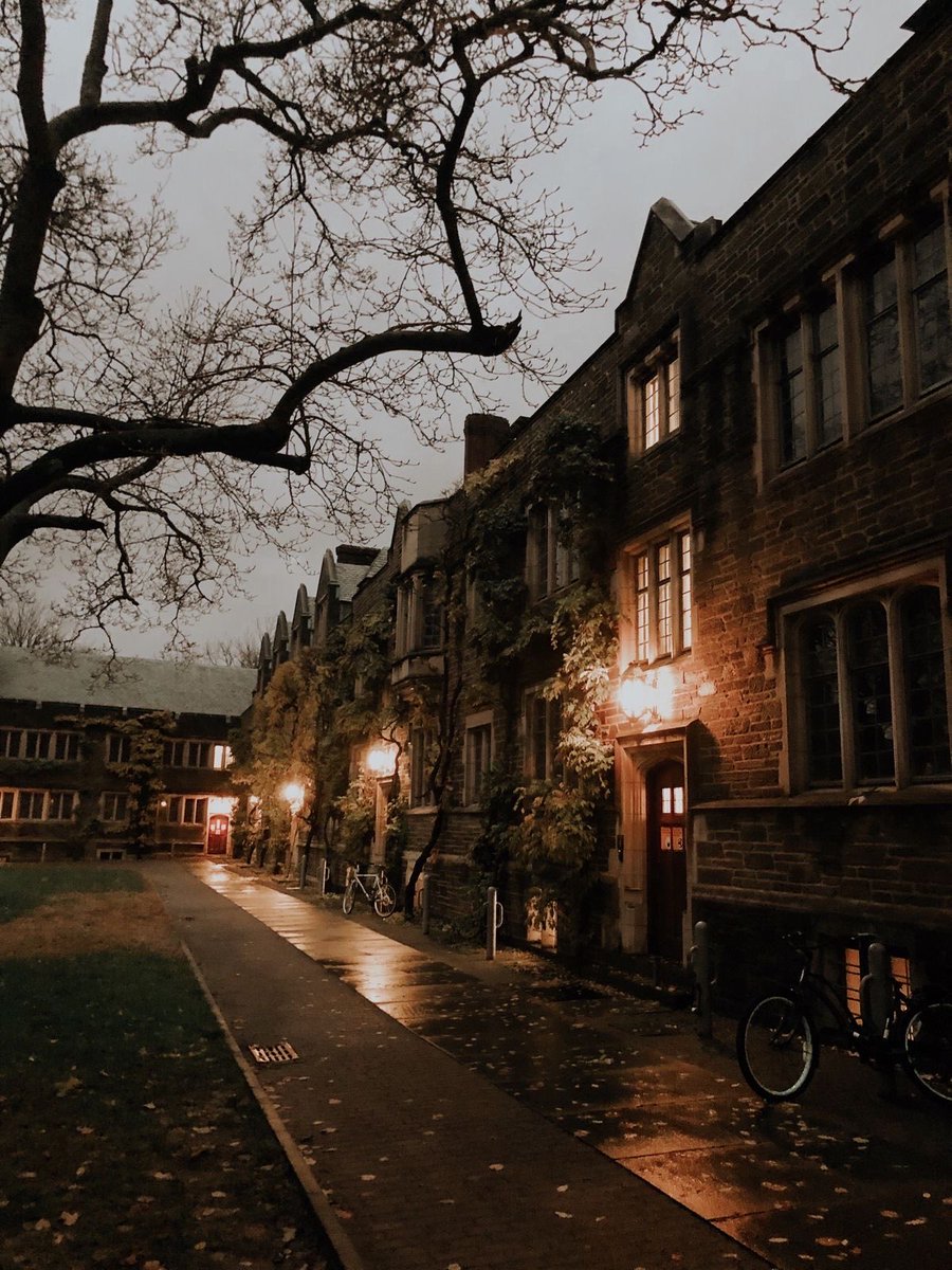 spooky_nature's tweet photo. romantic dark weather. https://t.co/tWX77c6RSW