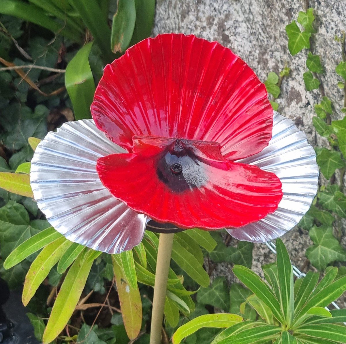RibbonofPoppies's tweet photo. 7 more flowers were added to the Hayle 9/11 poppies display yesterday.

1 silver anniversary poppy for Rick Rescorla and

6 for the victims of the 1993 attack, which inspired Rick to improve security procedures at @MorganStanley

#911WTCattacks #Hayle #RickRescorla https://t.co/lMHW23wN8G