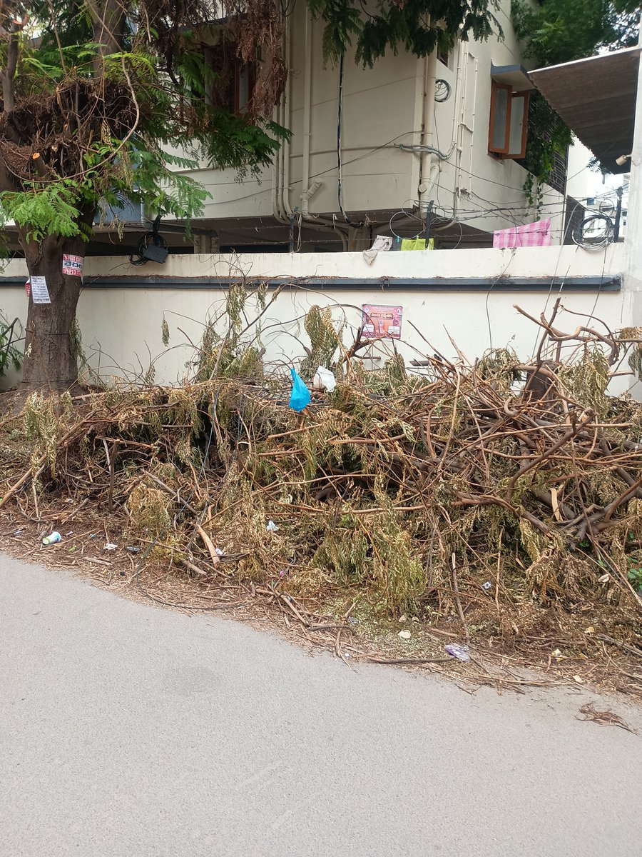 KDon_85's tweet photo. @tgspdcl Hi Team, Again the tree branches are cut by the Electricity Department and left over. Request Electricity Department to get it picked up. @GHMCOnline Sweepers are not picking up the trash and it's becoming a dump yard near our apartment. Please find the images FYR. https://t.co/IX7KpDKHTL