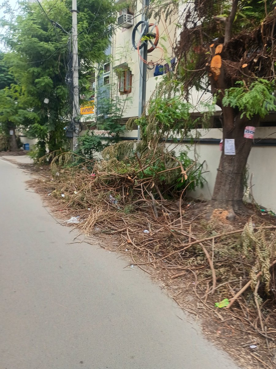 KDon_85's tweet photo. @tgspdcl Hi Team, Again the tree branches are cut by the Electricity Department and left over. Request Electricity Department to get it picked up. @GHMCOnline Sweepers are not picking up the trash and it's becoming a dump yard near our apartment. Please find the images FYR. https://t.co/IX7KpDKHTL
