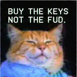 RHKeyboardCat's tweet photo. https://t.co/0ySAmACIBk