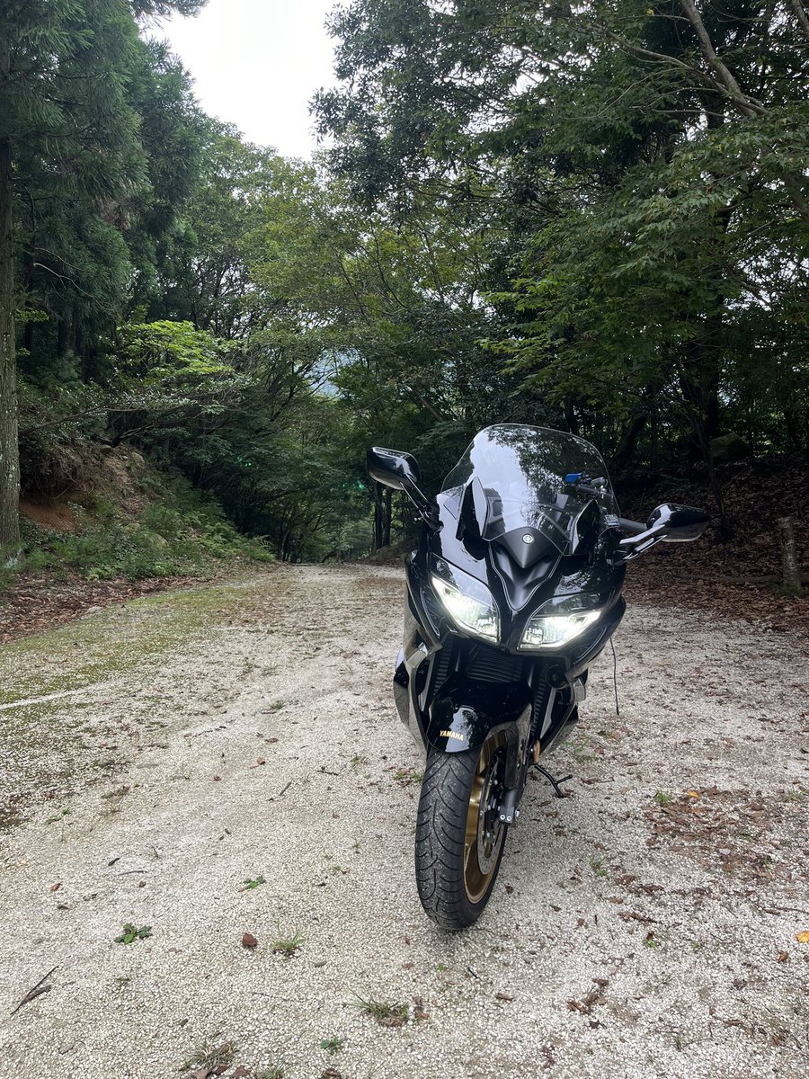 tonpooth's tweet photo. 結局こんな道ばっか走ってて買ったバイク間違えた気がするけどすげー満足してる☺️ https://t.co/jADKMeQugC