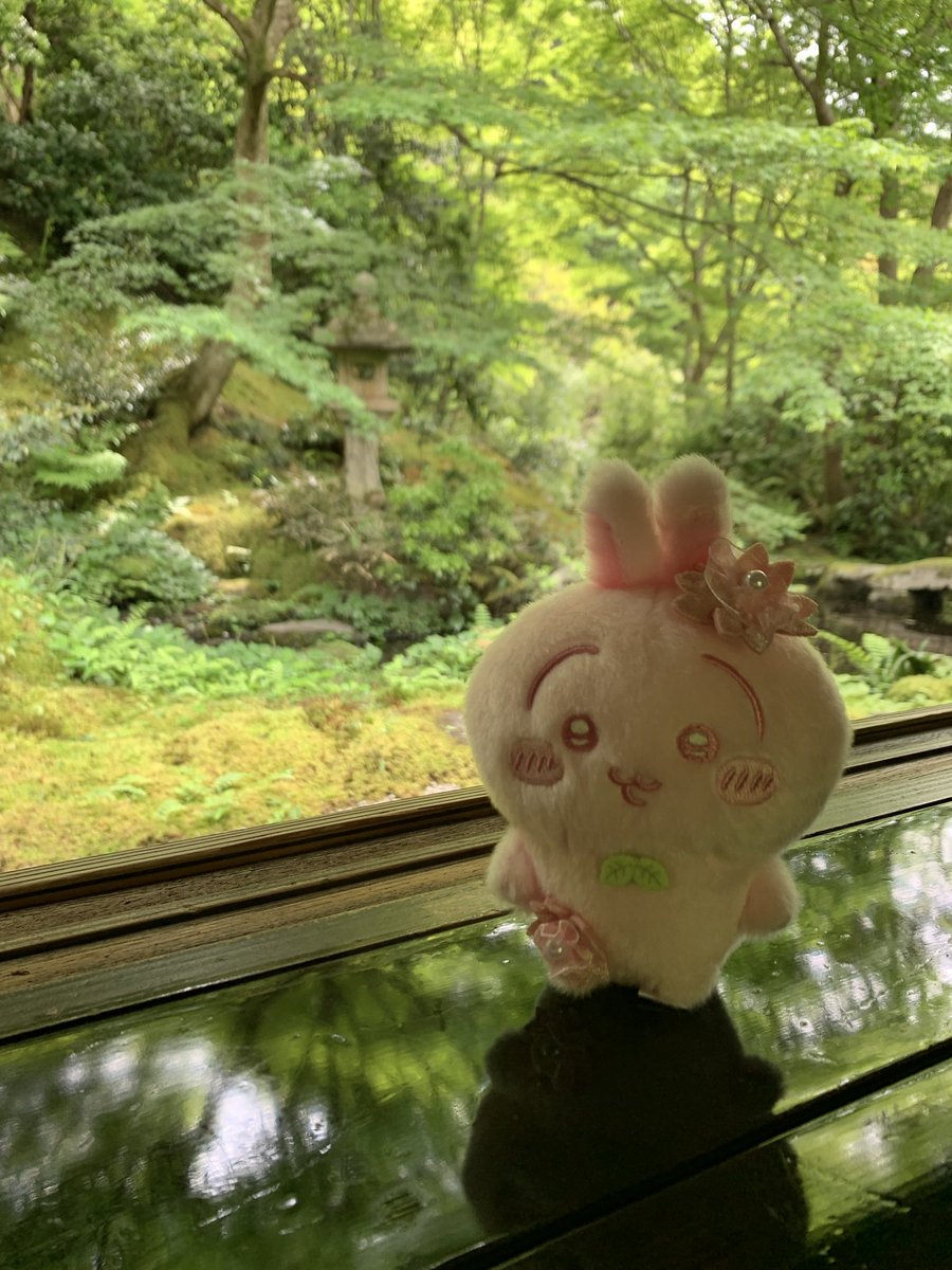 hotcakeumai's tweet photo. ぬい🐰 https://t.co/OHivUYUwCq