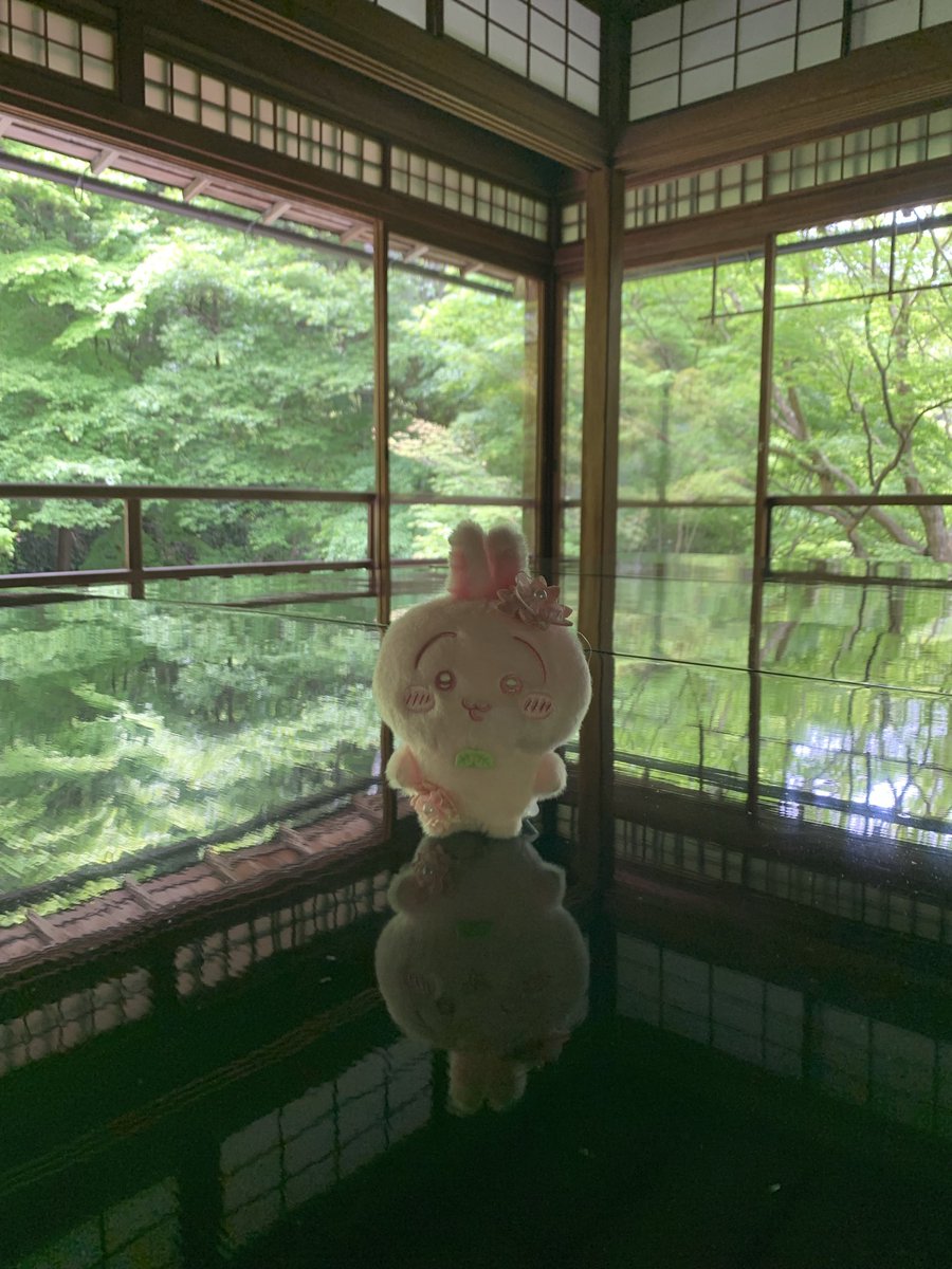 hotcakeumai's tweet photo. ぬい🐰 https://t.co/OHivUYUwCq