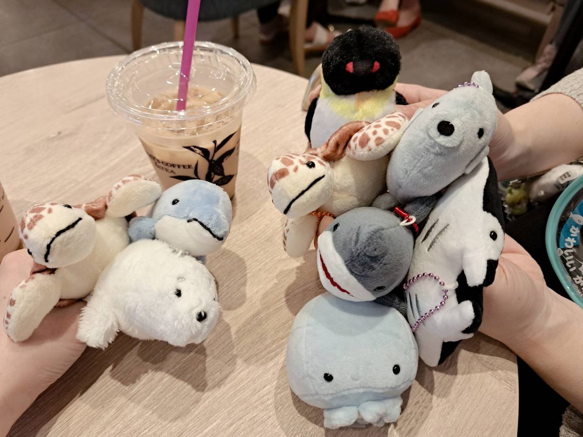 kuma_rish's tweet photo. 謎の勢いで水族館のガチャで散財💸カワウソほしいいいいw3個ごとにポーチもらえるからついw https://t.co/sCump98P1f