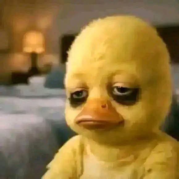 graphics28848's tweet photo. Being searching for a job. I’m a graduate, done with NYSC, with a background in Graphics design and VA. I’m open to working outside my field too.
I stay in Imo state but I’m willing to travel/relocate, esp if accommodation is provided.  Please RT or tag anyone hiring.🙏😫 https://t.co/CqtrMyrRWY