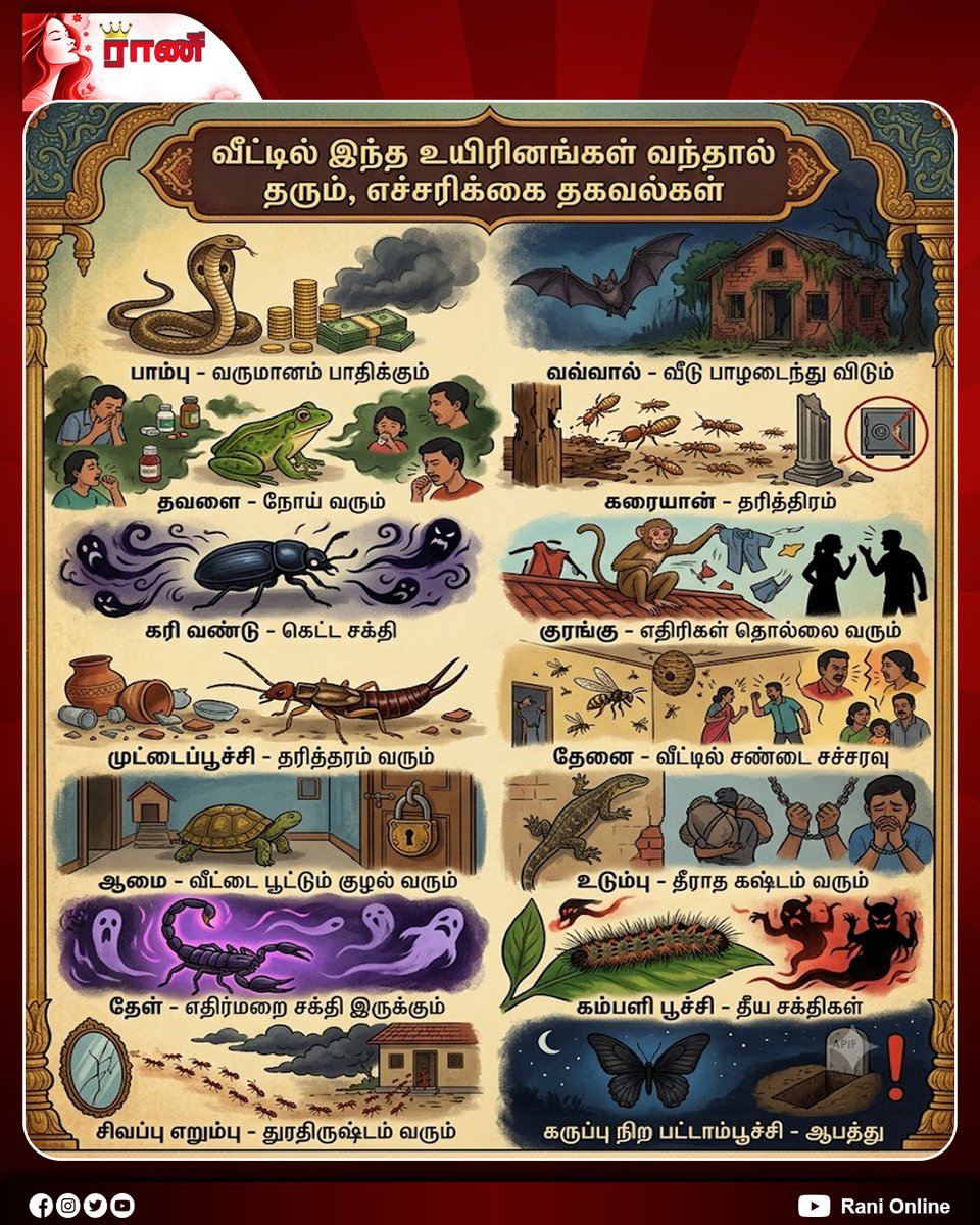 Rani_online's tweet photo. வீட்டில் இந்த வந்தால் உயிரினங்கள் தரும், எச்சரிக்கை தகவல்கள்

#HomeSafety #WarningSigns #HouseholdTips #SafetyTips #InterestingFacts #Awareness #Ranionline https://t.co/RoEJeoKX2p