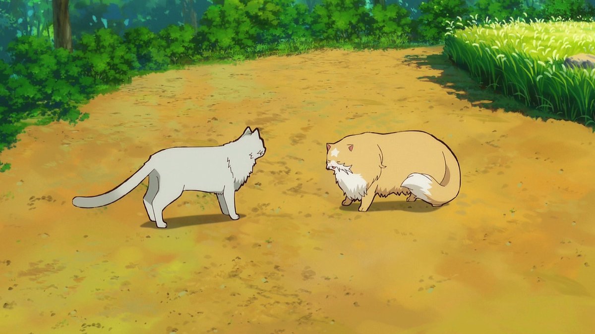 猫と竜 第11話 ツイート画像 1